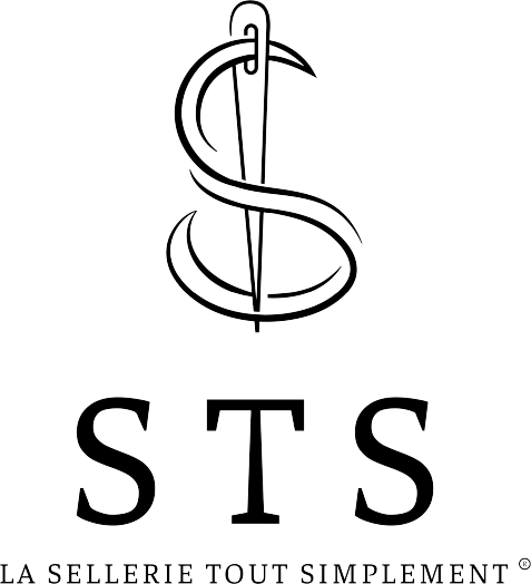 Logo STS
